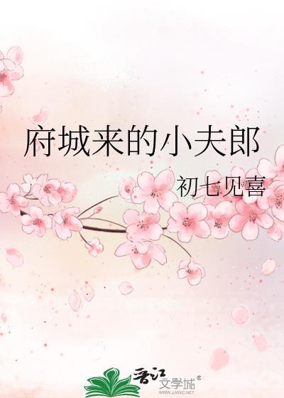 府城来的小夫郎by初七见喜txt