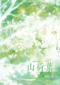 山荷叶资料