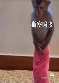 动漫泡芙小姐最后和谁在一起了呢