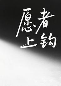 愿者上钩免费阅读全文