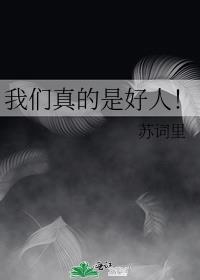 我们是好人英语翻译