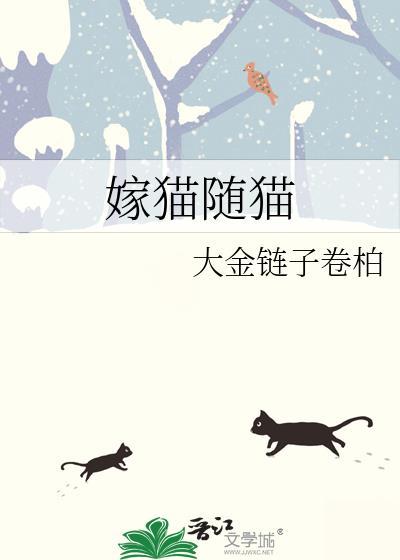 嫁猫随猫免费阅读全文