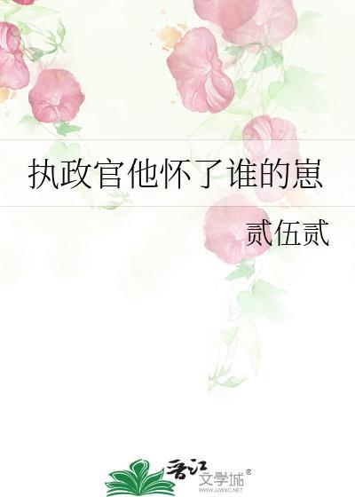 执政官模式是什么意思
