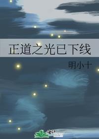 正道之光已下线百度