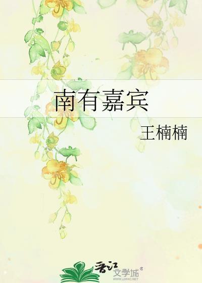 南有嘉宾txt