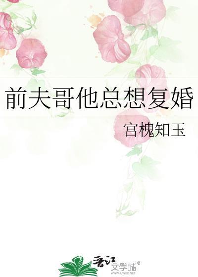 前夫哥他总想复婚(近代现代)