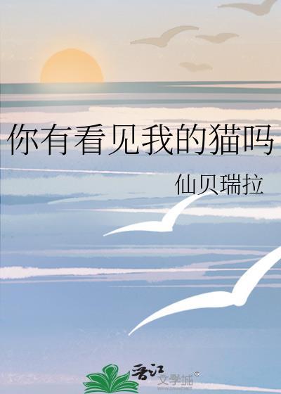 你有看见我的猫吗by仙贝全文免费阅读