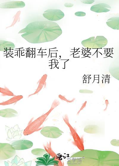 老婆不理我了番外