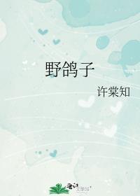 野鸽子有病毒吗