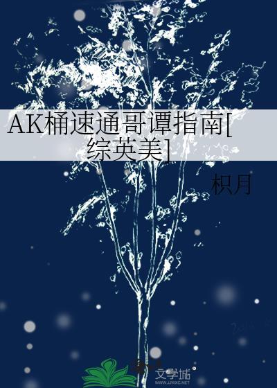 ak桶速通哥谭指南综英美