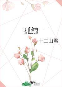 孤鲸十二山君