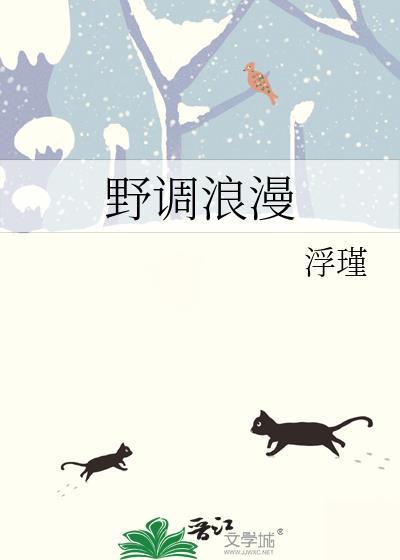 野调浪漫讲了什么