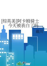 阿卡姆骑士绝不认输 综英美