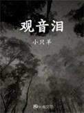 观音泪电视剧全集免费