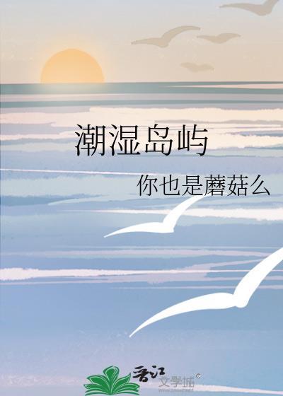 潮湿洞穴解谜