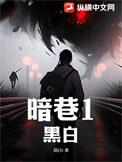 暗巷的酒与诗适合谁用