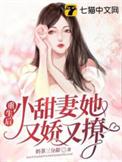 重生后小甜妻 追夫有术