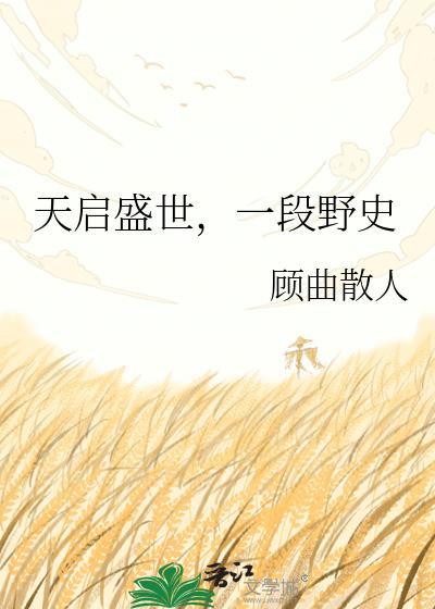 一段野史的故事