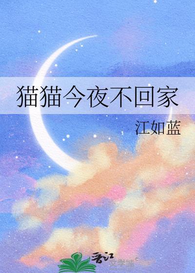 猫咪半夜不回家