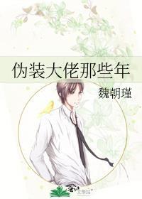 伪装成大佬的紫剑