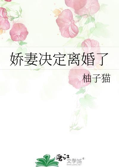 娇妻决定离婚了免费阅读桑荔