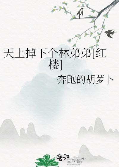 天上掉下个林哥哥