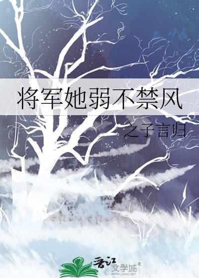 将军他弱不禁风2k