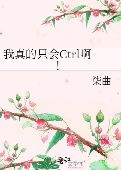 我真的只会ctrl啊原名叫什么