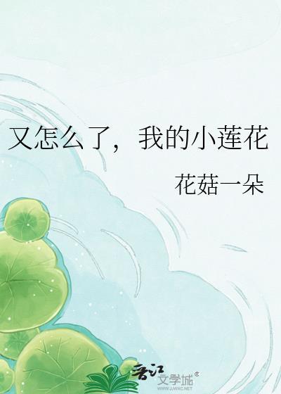 我的小莲花txt