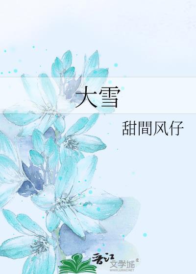 大雪无痕 电视剧