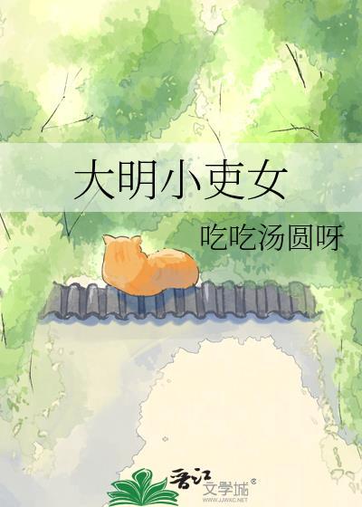 大明小吏女txt百度
