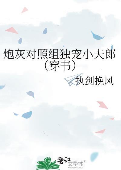 炮灰对照组独宠小夫郎(穿书)作者执剑挽风著