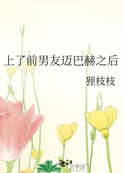 上前男友迈巴赫之后