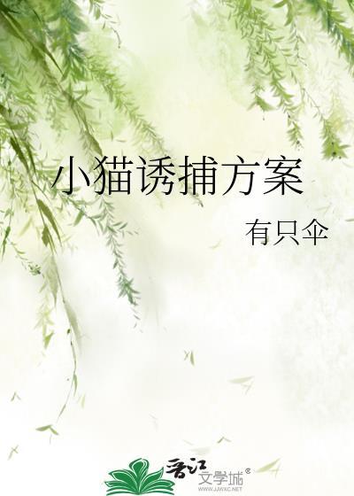 用什么诱捕猫