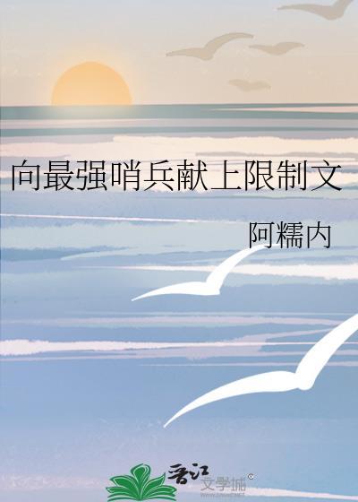 哨兵向导的推荐