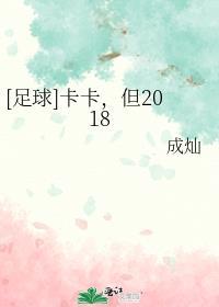 足球卡卡