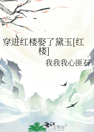 穿越进红楼梦
