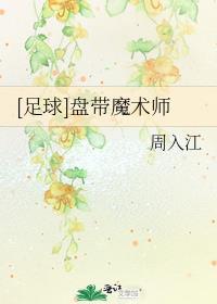 足球盘带魔术师笔趣阁