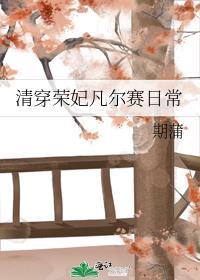 清穿之荣妃娘娘