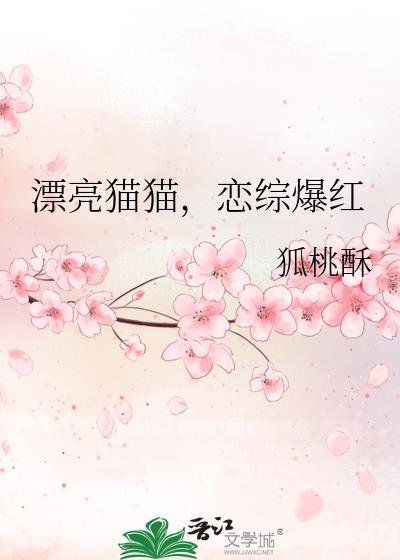 漂亮的猫猫