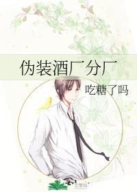 伪装酒厂分厂的更新时间