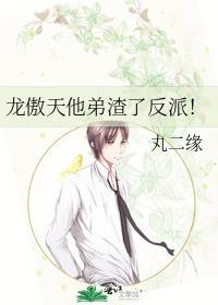 龙傲天他弟渣了反派攻受