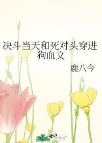 决斗当天我和死对头穿进狗血文TXT