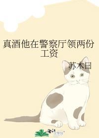 警察是不是拿双工资就是公务员工资和警衔工资