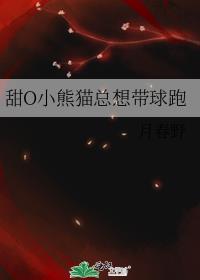 小熊猫咪