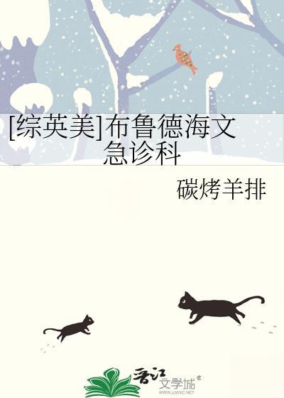 布鲁德海文×夜翼