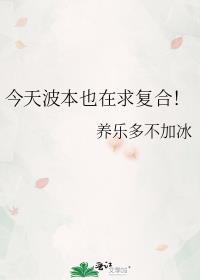 波本出场集数