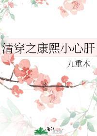 清穿之康熙小心肝 全文阅读