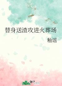 完美婚配txt百度