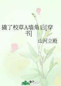 撬了TAXI什么意思